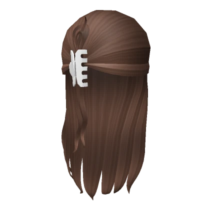 Aesthetic Y2k Hair Clip Brown hair