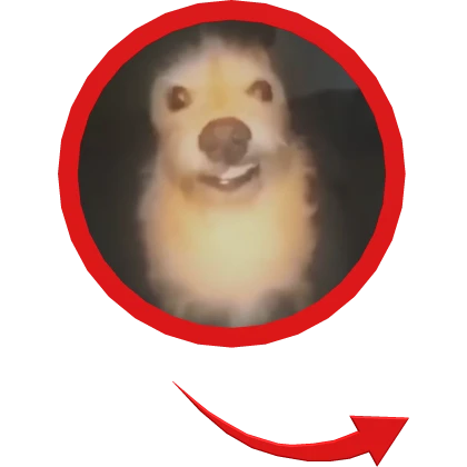 funny little dog red circle meme