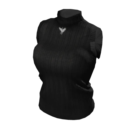 🤍 Sleeveless Black Turtleneck