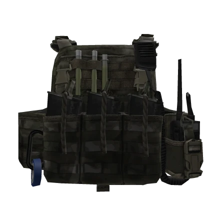CPC MOD.2 plate carrier (worn)