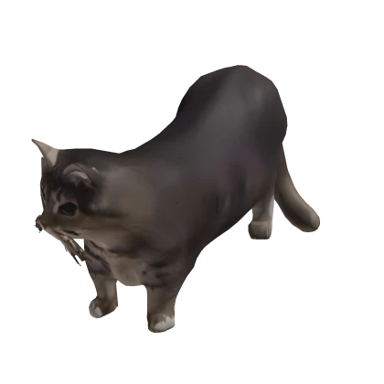 Mini Funny Cat