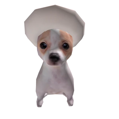 Perrito with hat