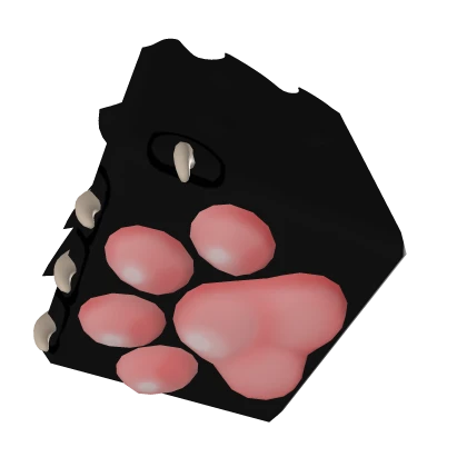 Black Paw R6 1.0 (Right)