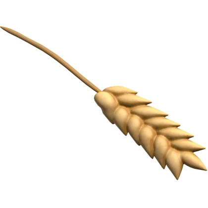 Wheat