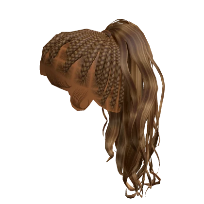 Ponytail Boho Braids [Brown & Blonde]