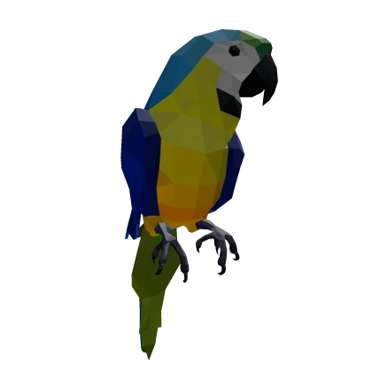 Cute Parrot 💙💚💛 Macaw Jungle Animal Ara Bird