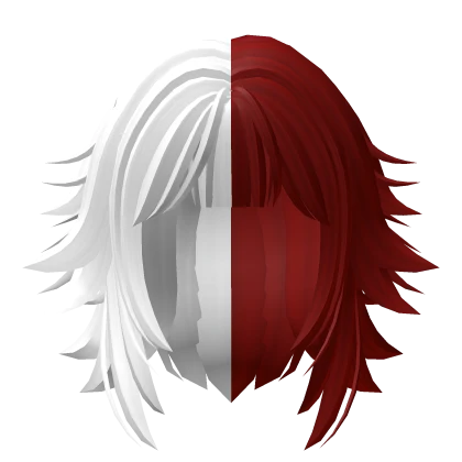 Female Todoroki Anime Hair