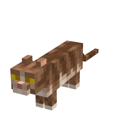 Mini Cat Suit