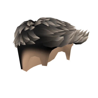 Swept Burst Fade Hair Black Highlights