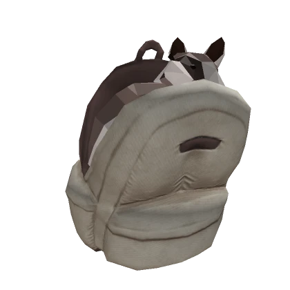 Backpack with Wide Raccoon Light