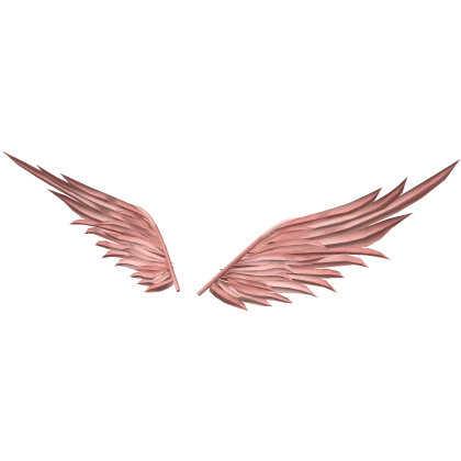 Light Pink Coral Wings