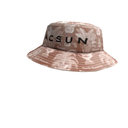 PacSun Hat