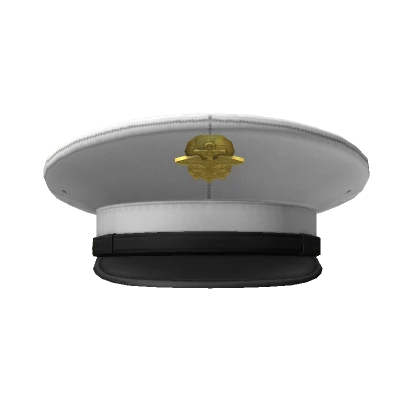 Marine Dress Blues Cover