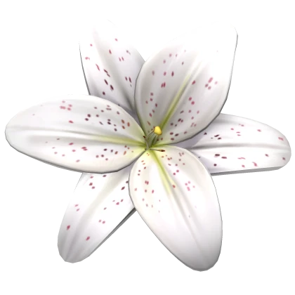 Tropical Lily Flower Summer Hairclip (White)