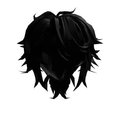 Fluffy Black Hair w Low Ponytail