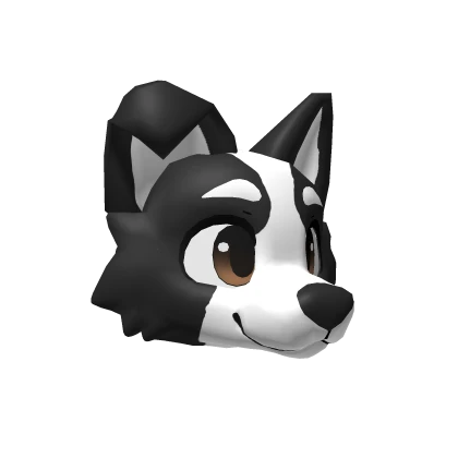 Furry Border Collie Dog