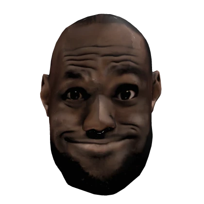 Lebron James Meme Head