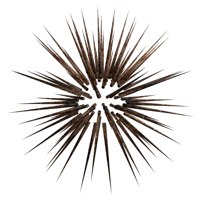 Rusted Spikes