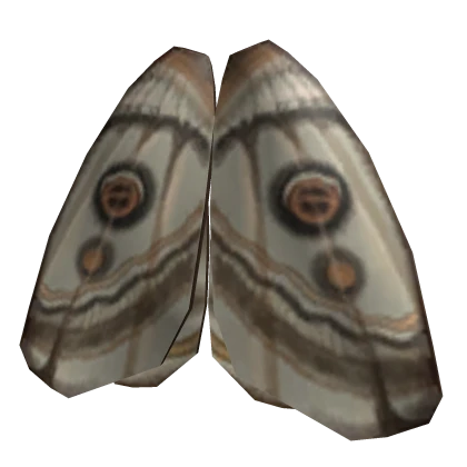 Folded Moth Wings