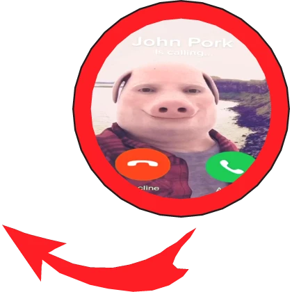 John Pork Meme Circle