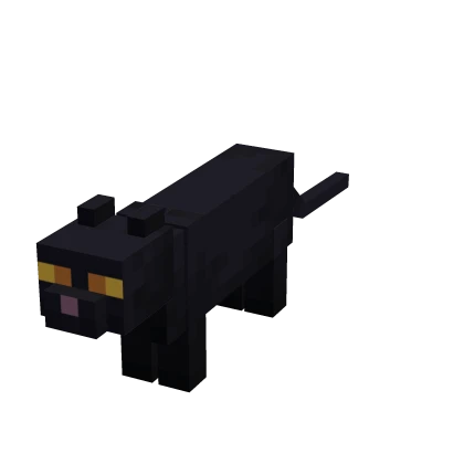 Mini Black Cat