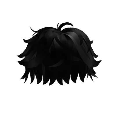 [FREE] Black Fluffy Hair