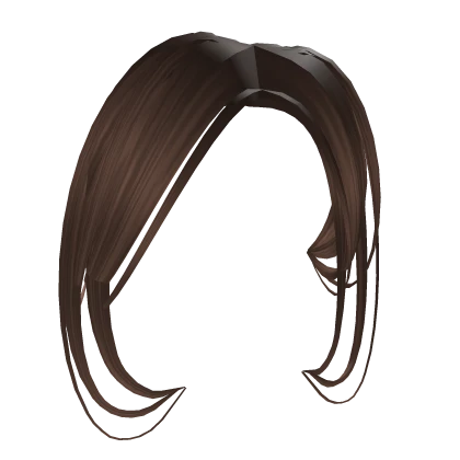 Newside bangs in brown Combo