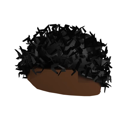 Short Curly Black Hair 