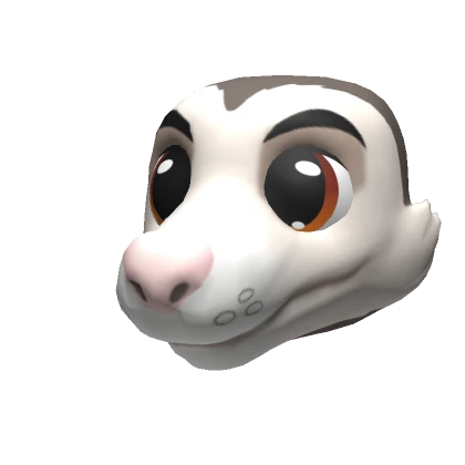 Virginia Opossum Head