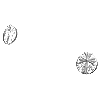 Sliver Shiny Chrome Earrings