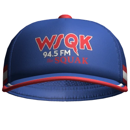 🧢 Dustin's Stranger Things WSQK Hat