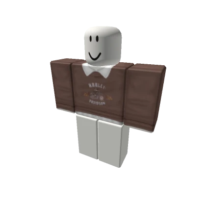 Brown Aesthetic Sweater w Collared