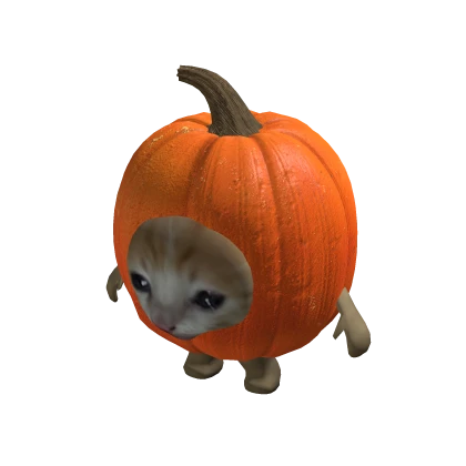 Cat Pumpkin Costume