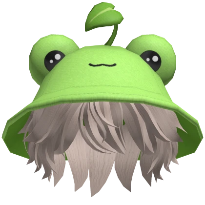Frog Hat Messy Hair 🐸