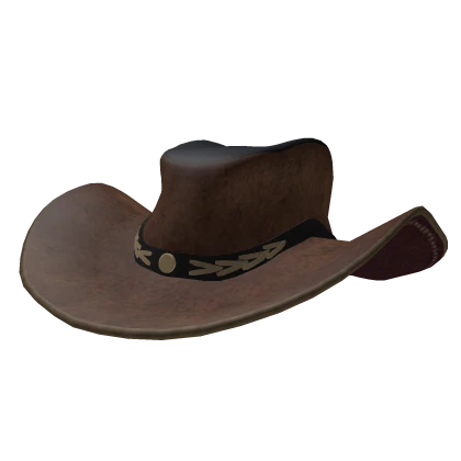 Brown Western Wide Brim Cowboy Hat