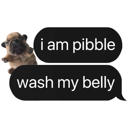 i am pibble wash belly text