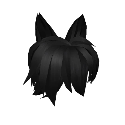 Messy Black Hairstyle Cat Ears