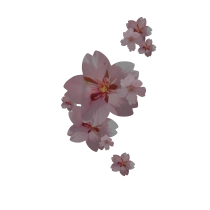 Cherry blossom flowers on face