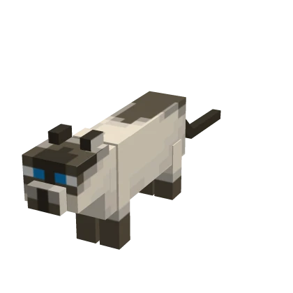  Mini Siamese Cat Suit