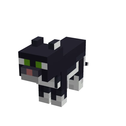 Mini Cat