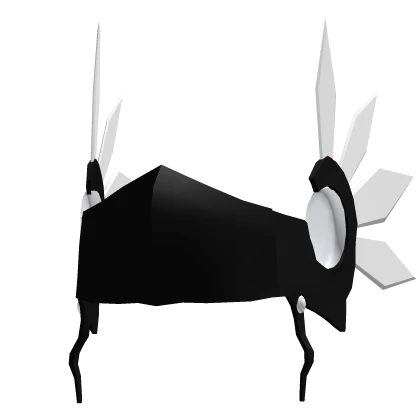 Black Valkyrie 
