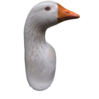 Realistic Goose head 🤍