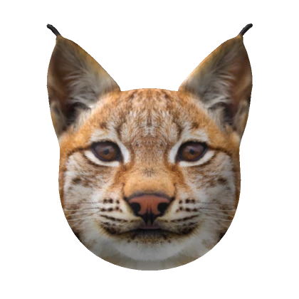 Realistic lynx Mask