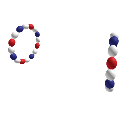 Exclusive Patriot Earrings