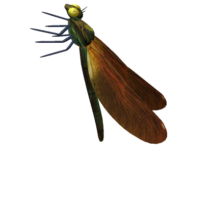 Realistic Dragonfly