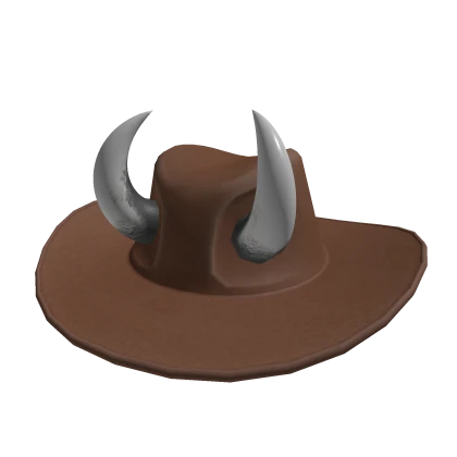 Cowboy Hat