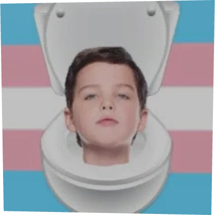 trans skibidi sheldon 