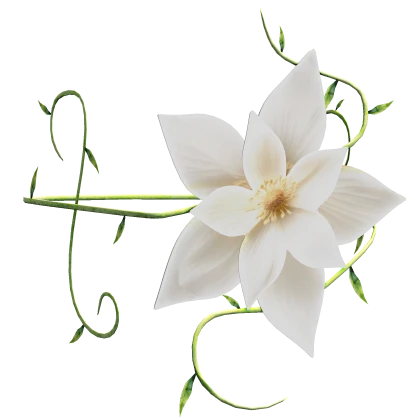 White Flower Arm Band [Left]