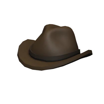 Brown Bighead Cowboy Hat