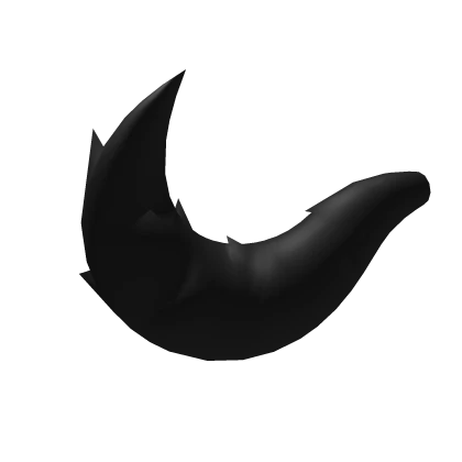 Black Fluffy Tail